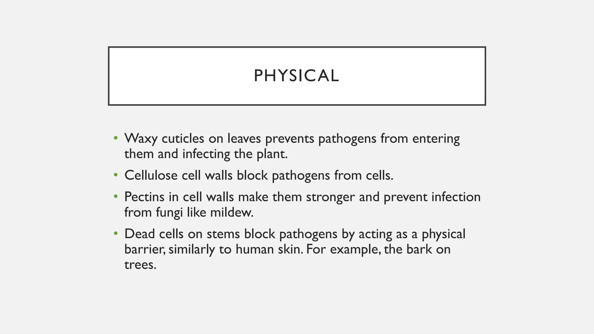 PLANT DEFENCES
Physical, chemical and mechanical defences ●
●
PHYSICAL
Cellulose cell walls block pathogens from cells.
• Pectins in cell wa