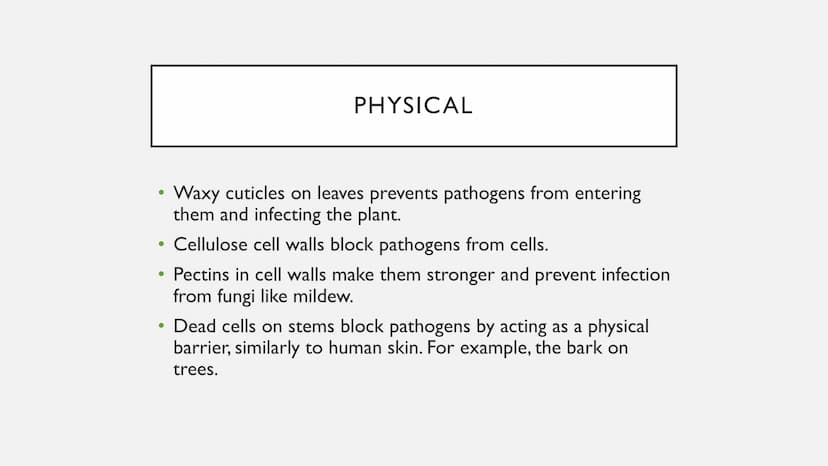 PLANT DEFENCES
Physical, chemical and mechanical defences ●
●
PHYSICAL
Cellulose cell walls block pathogens from cells.
• Pectins in cell wa