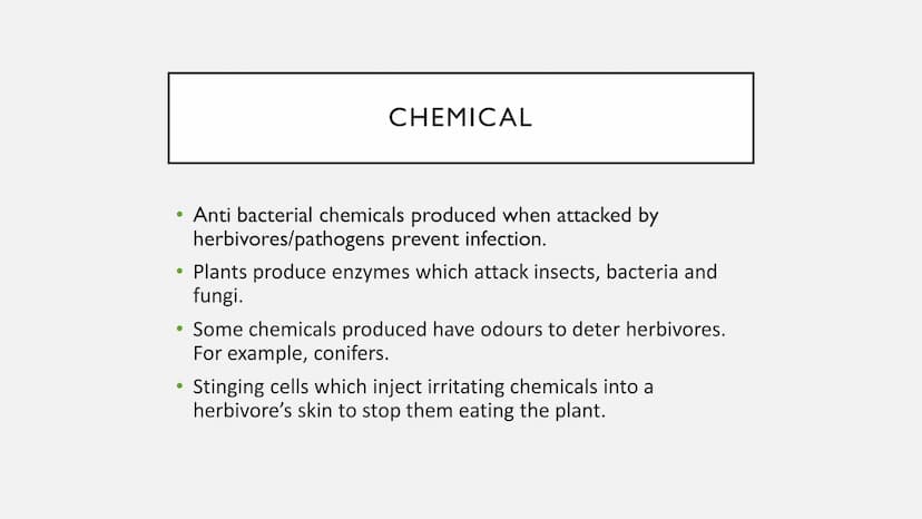 PLANT DEFENCES
Physical, chemical and mechanical defences ●
●
PHYSICAL
Cellulose cell walls block pathogens from cells.
• Pectins in cell wa