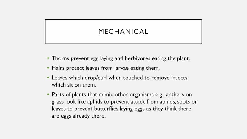 PLANT DEFENCES
Physical, chemical and mechanical defences ●
●
PHYSICAL
Cellulose cell walls block pathogens from cells.
• Pectins in cell wa