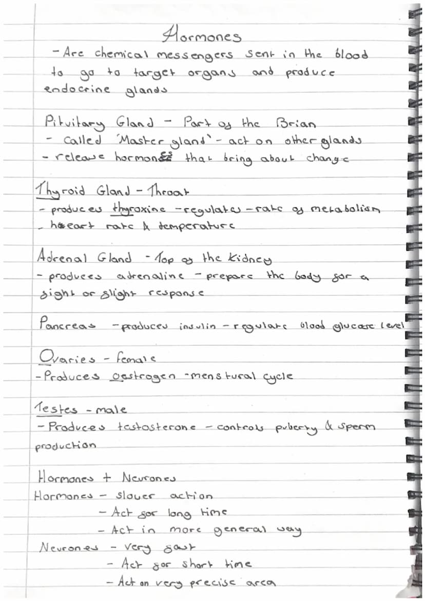 i
1
1
Biology.
- Revision -
Homeostasis
-paper 2
it means maintaining the right conditions inside your
that everything works proparly
L
body