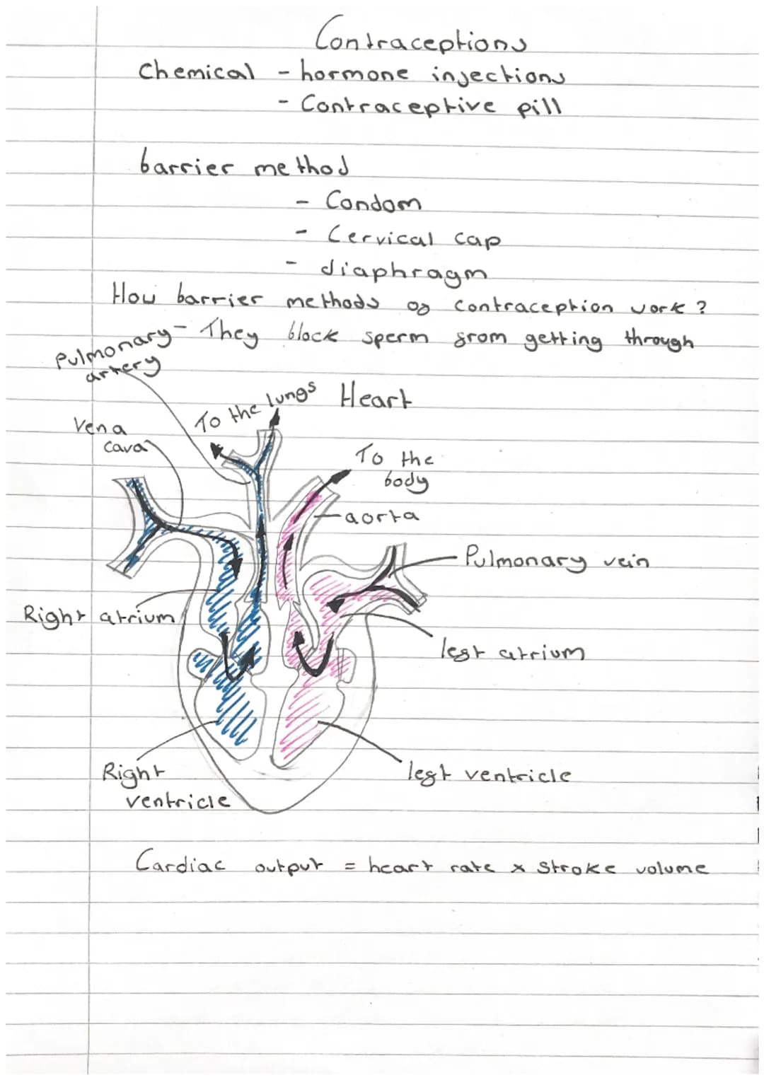 i
1
1
Biology.
- Revision -
Homeostasis
-paper 2
it means maintaining the right conditions inside your
that everything works proparly
L
body