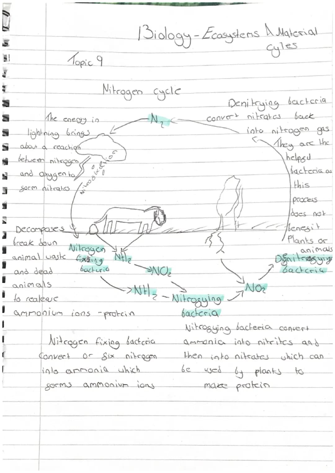 i
1
1
Biology.
- Revision -
Homeostasis
-paper 2
it means maintaining the right conditions inside your
that everything works proparly
L
body