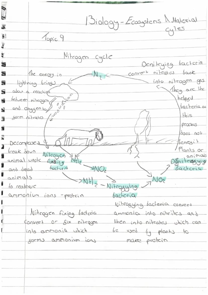 i
1
1
Biology.
- Revision -
Homeostasis
-paper 2
it means maintaining the right conditions inside your
that everything works proparly
L
body