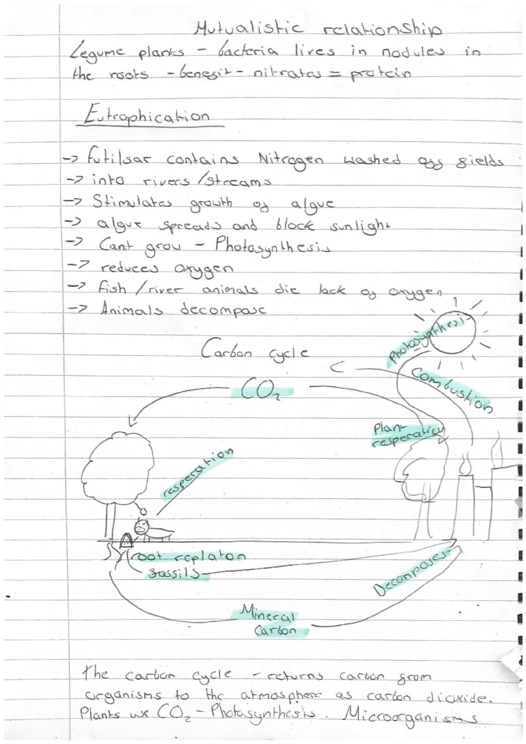i
1
1
Biology.
- Revision -
Homeostasis
-paper 2
it means maintaining the right conditions inside your
that everything works proparly
L
body