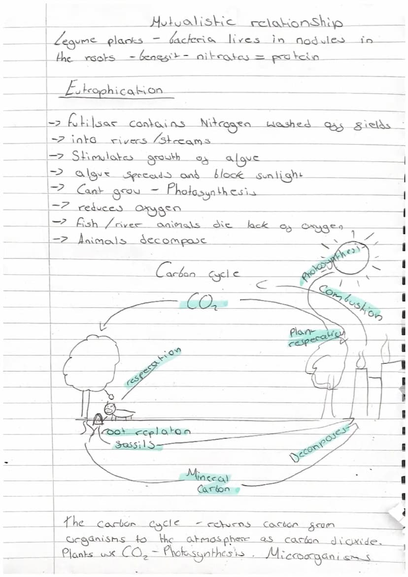 i
1
1
Biology.
- Revision -
Homeostasis
-paper 2
it means maintaining the right conditions inside your
that everything works proparly
L
body