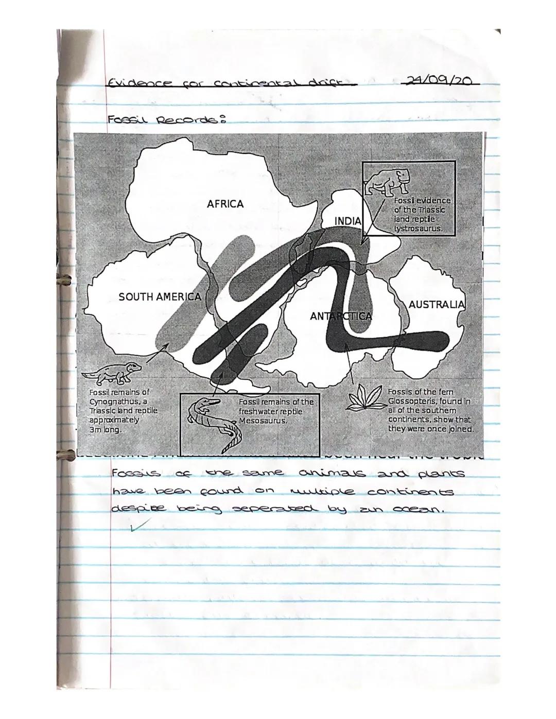 Continental Drift : Causes and evidence 17/09/20

plate tectonics?

nental drift and plate tectonics including:
ucture of the Earth includin