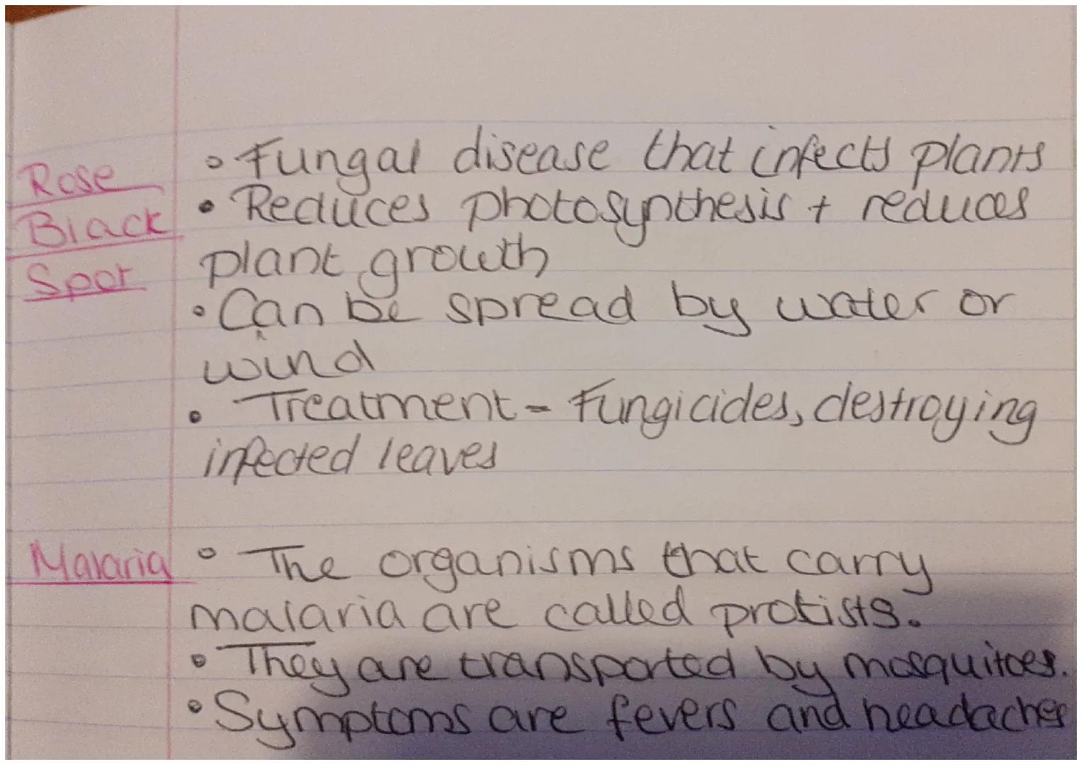Date:

18.8.2008

Communt
cable
Disease
Meaning

Non-Commu-
nicable
Disease
Meaning

Risk Factor
Meaning
Communicable
+ Non-communicable=
Di