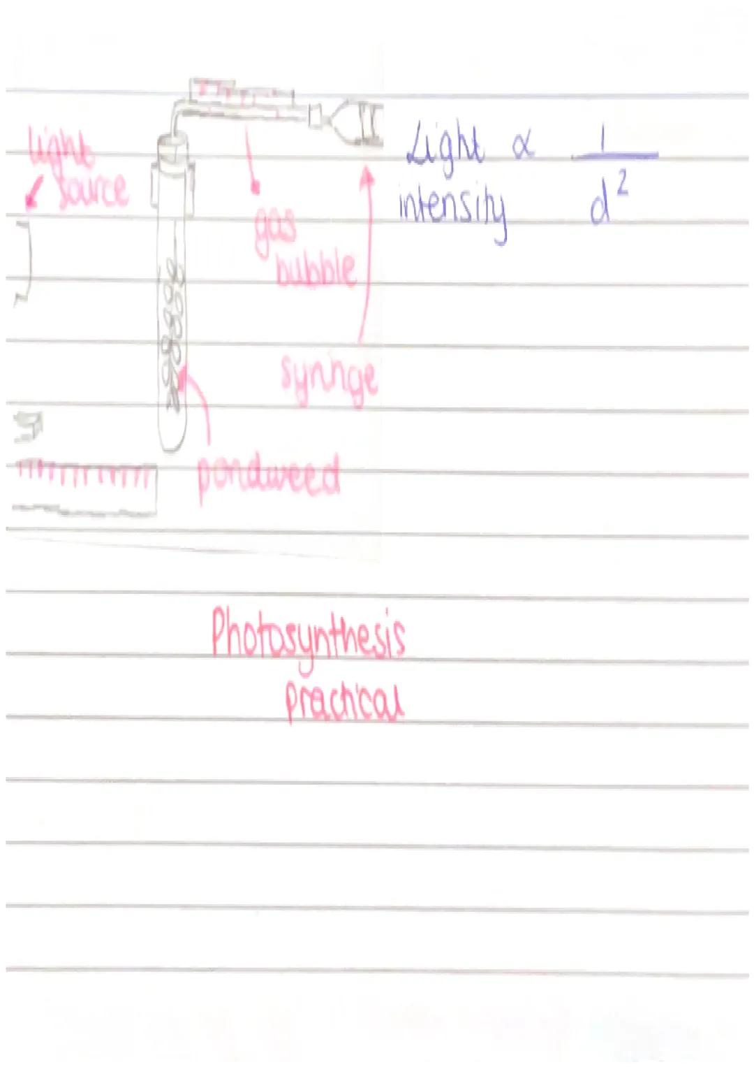 Communicable Diseases
Pathogens
- bacteria - small living cells
-viruses smaller than bacteria
-protists - single-celled eukaryotes.
-fungi-