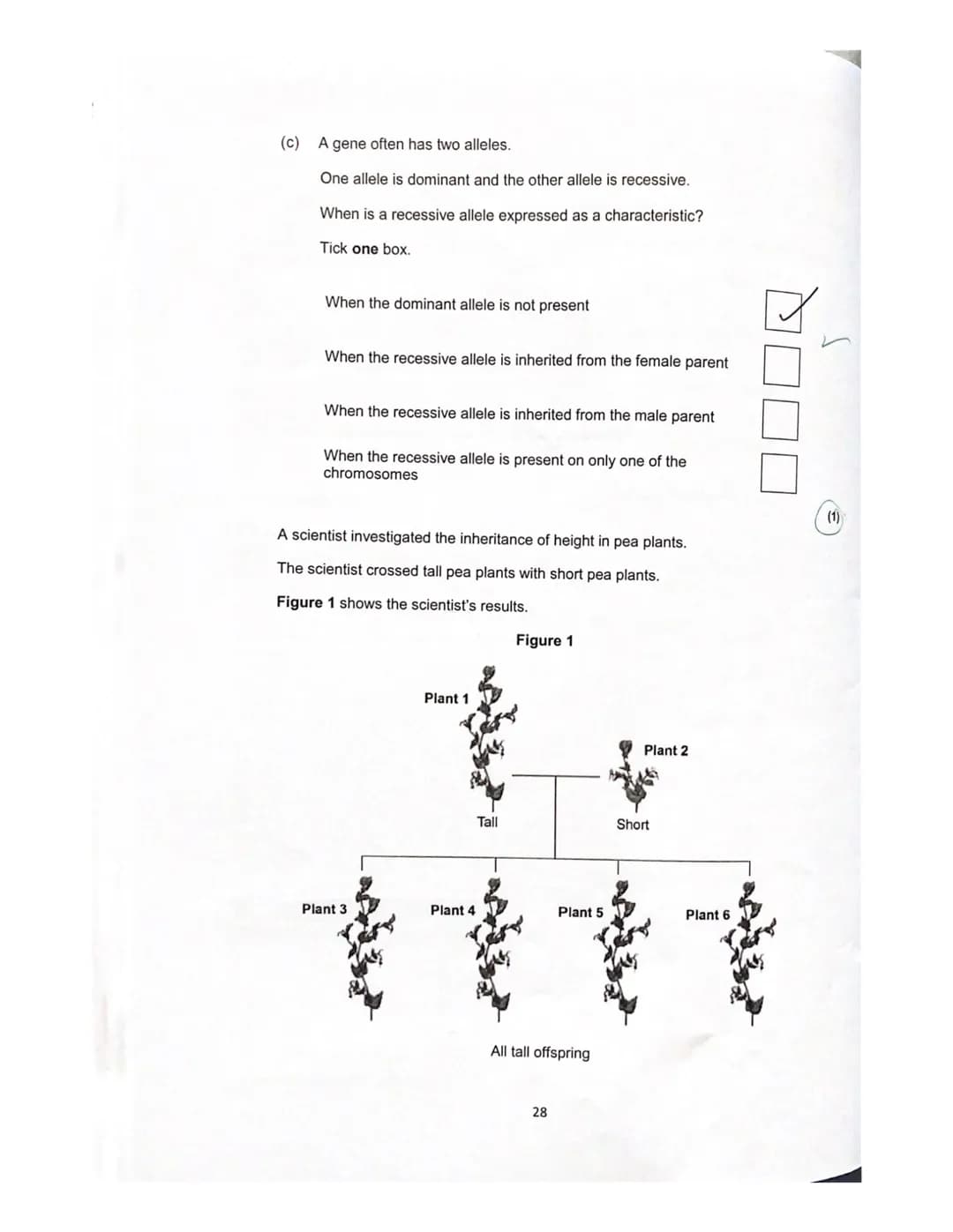 Lesson 3
History of genetics
Quiz
ye
1. What is an allele?
green?
A different
How is the dominant allele represented?
Capital letters I even