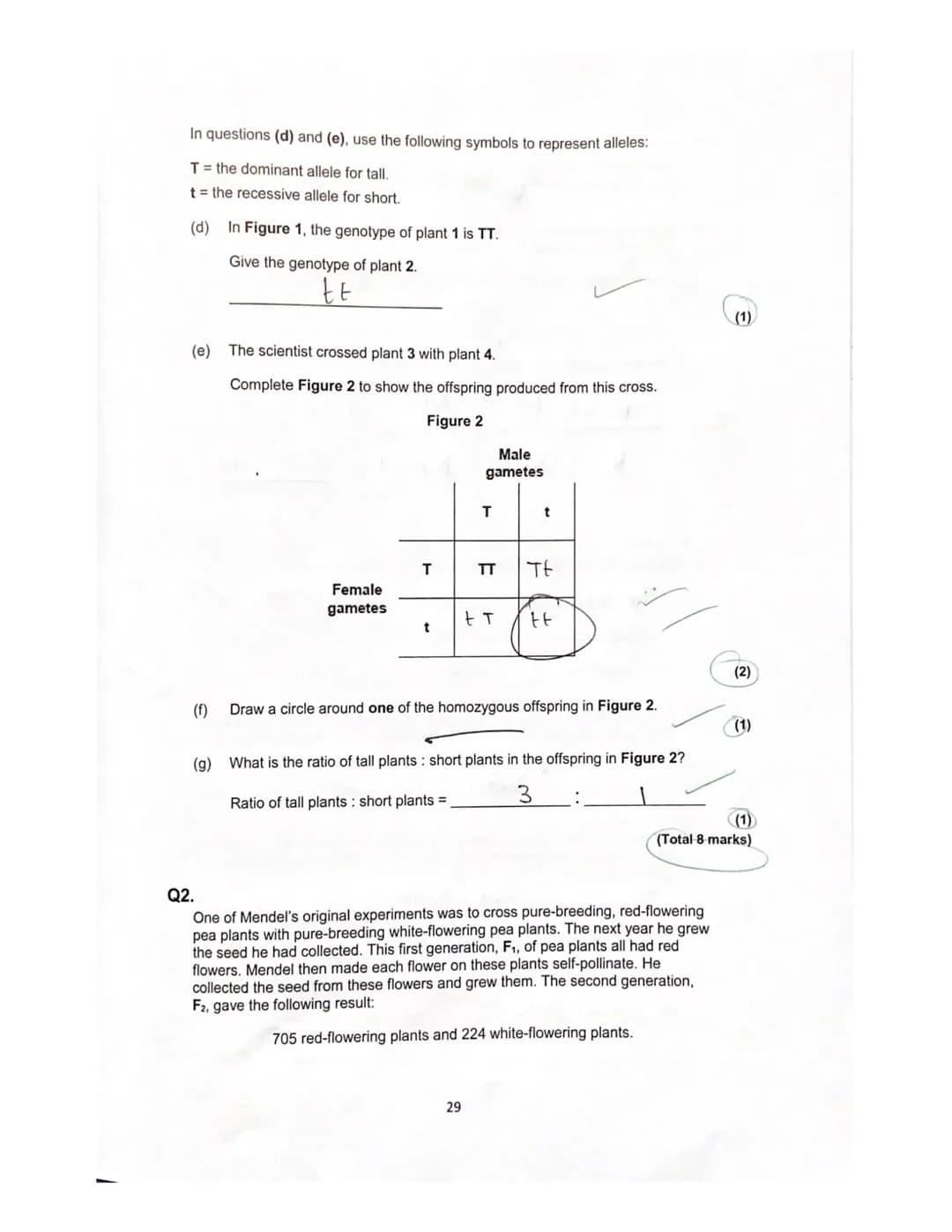 Lesson 3
History of genetics
Quiz
ye
1. What is an allele?
green?
A different
How is the dominant allele represented?
Capital letters I even