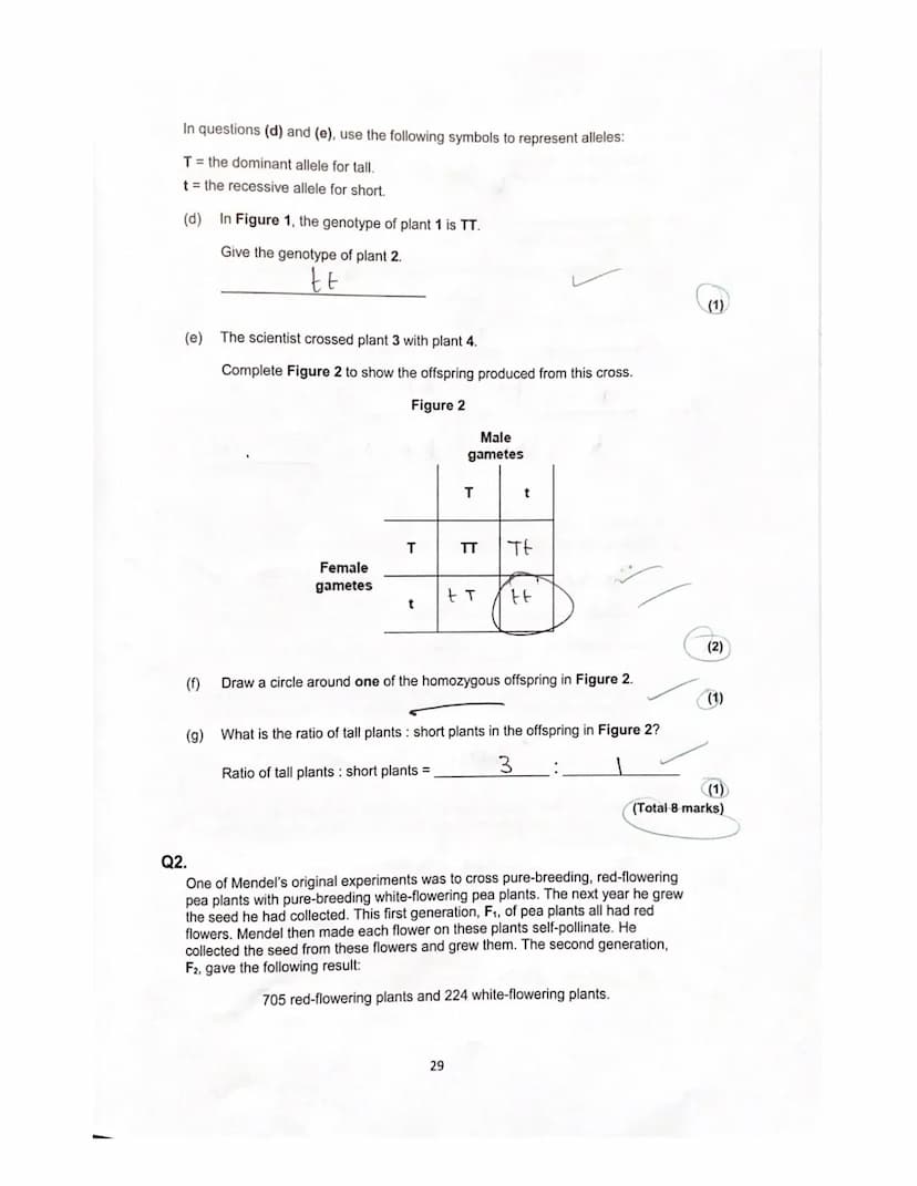 Lesson 3
History of genetics
Quiz
ye
1. What is an allele?
green?
A different
How is the dominant allele represented?
Capital letters I even