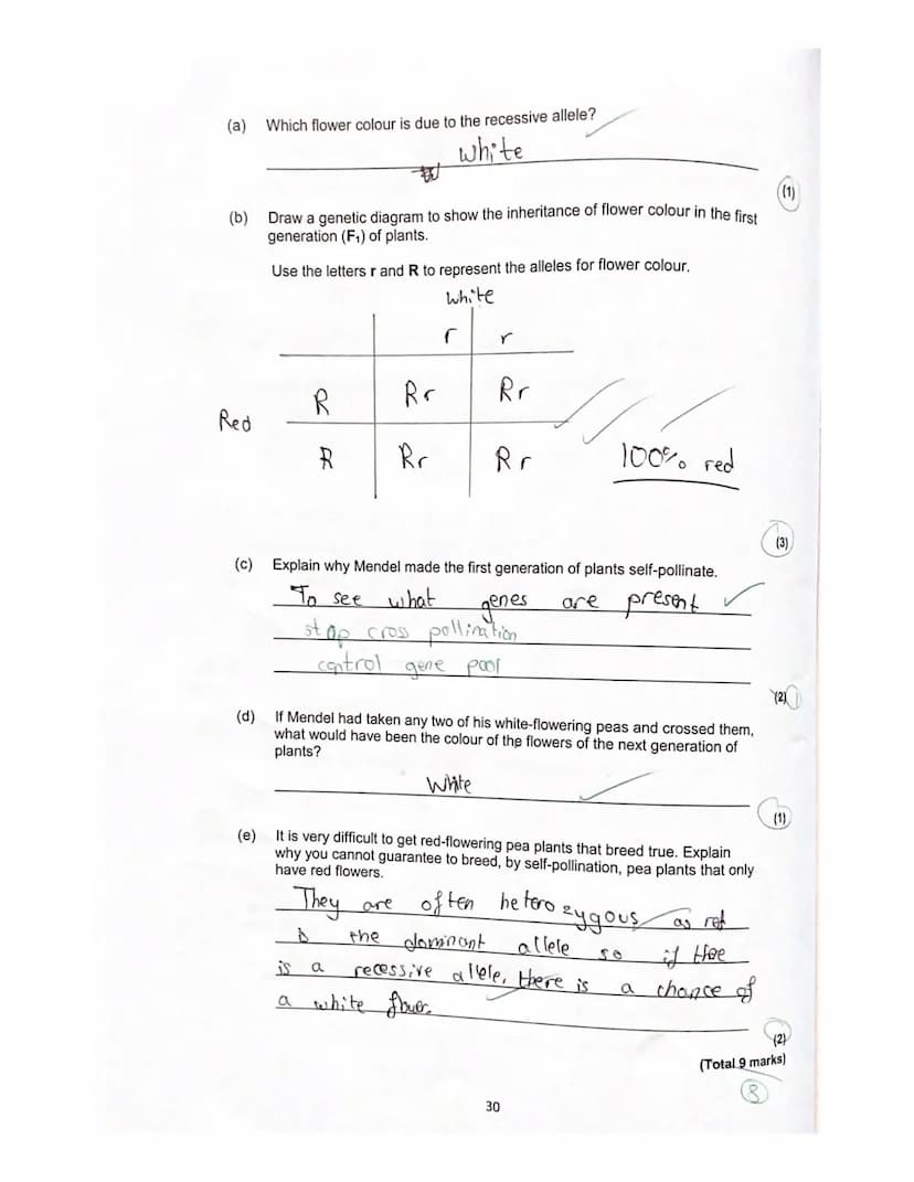 Lesson 3
History of genetics
Quiz
ye
1. What is an allele?
green?
A different
How is the dominant allele represented?
Capital letters I even
