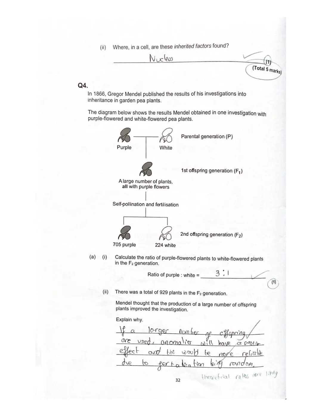 Lesson 3
History of genetics
Quiz
ye
1. What is an allele?
green?
A different
How is the dominant allele represented?
Capital letters I even