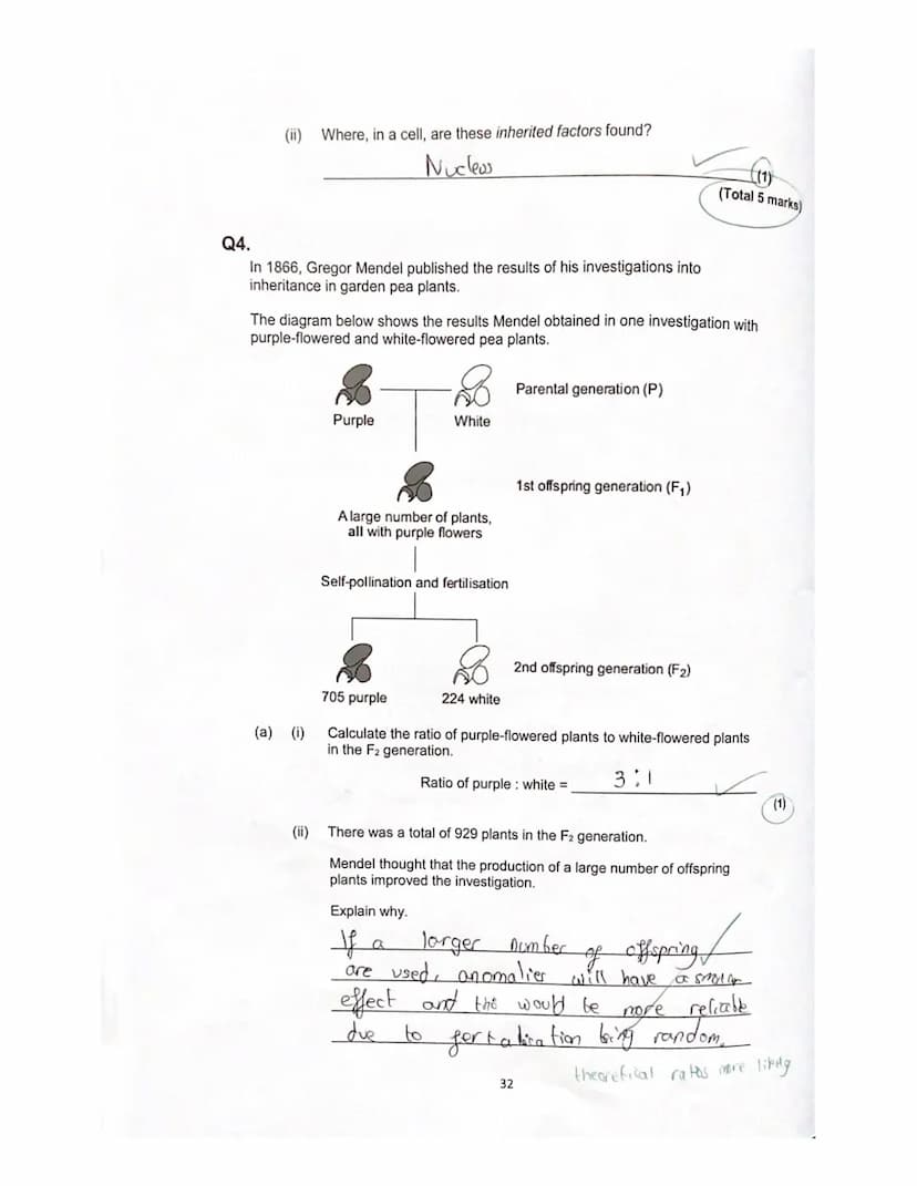 Lesson 3
History of genetics
Quiz
ye
1. What is an allele?
green?
A different
How is the dominant allele represented?
Capital letters I even