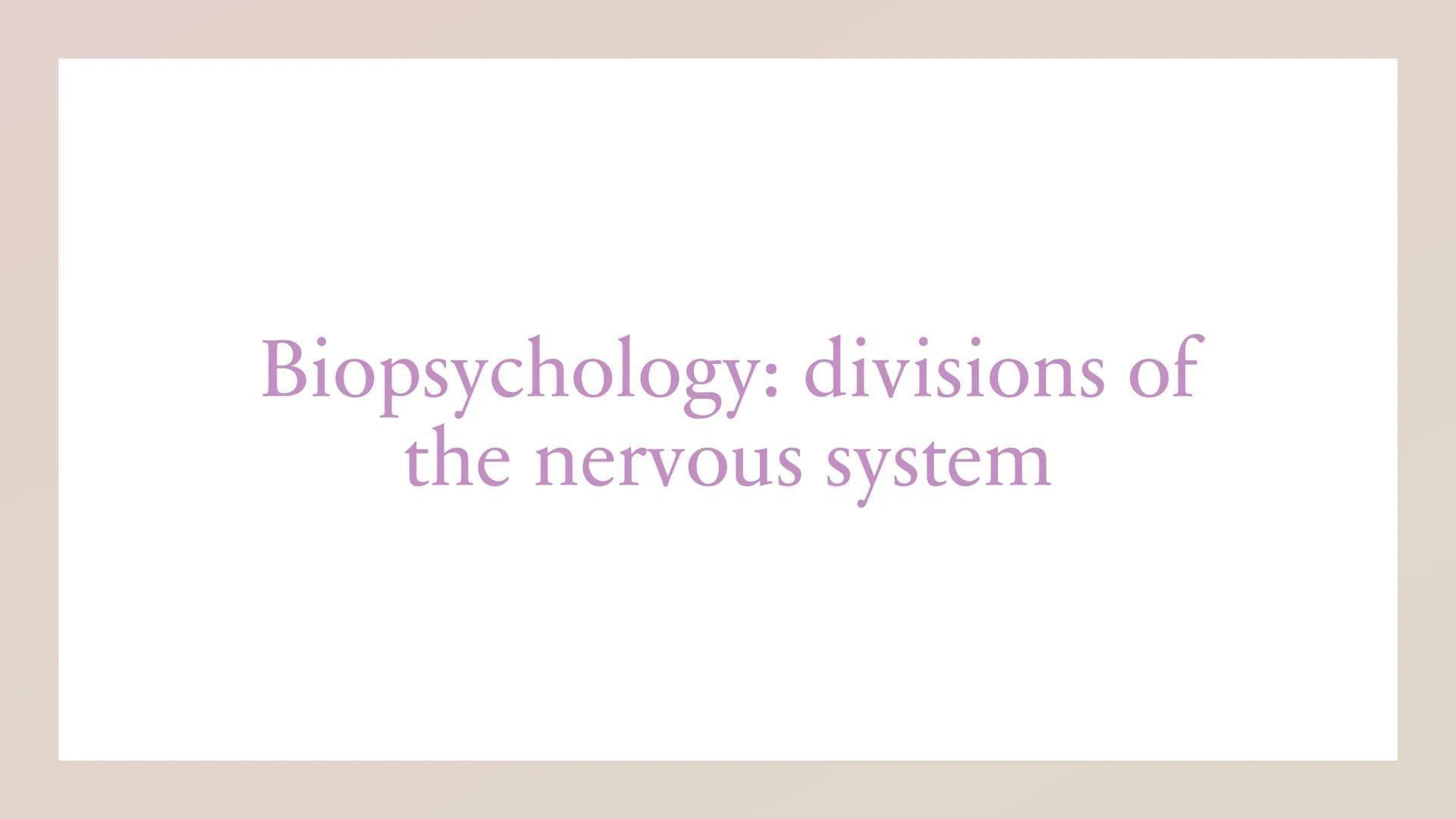 Biopsychology: divisions of
the nervous system The specification says:
The divisions of the nervous system: central and peripheral (somatic 