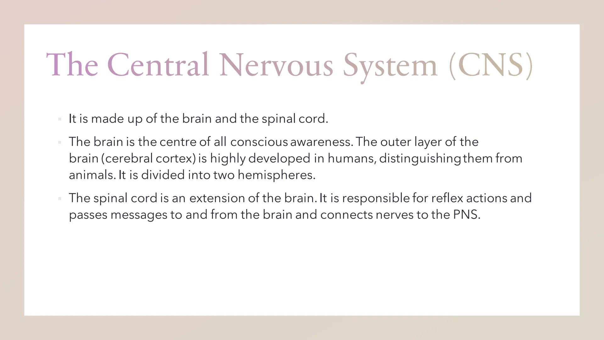 Biopsychology: divisions of
the nervous system The specification says:
The divisions of the nervous system: central and peripheral (somatic 