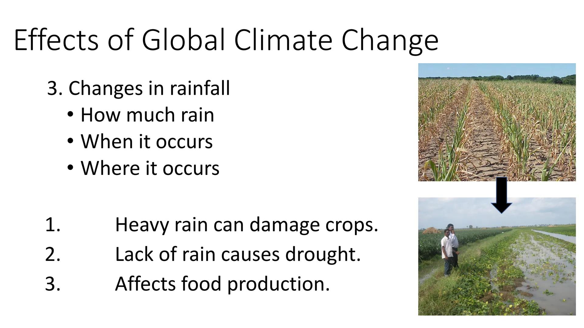 Greenhouse gases
Greenhouse gases in the
atmosphere maintain
temperatures on Earth
high enough to support
life.
Water vapour (H₂O),
carbon d