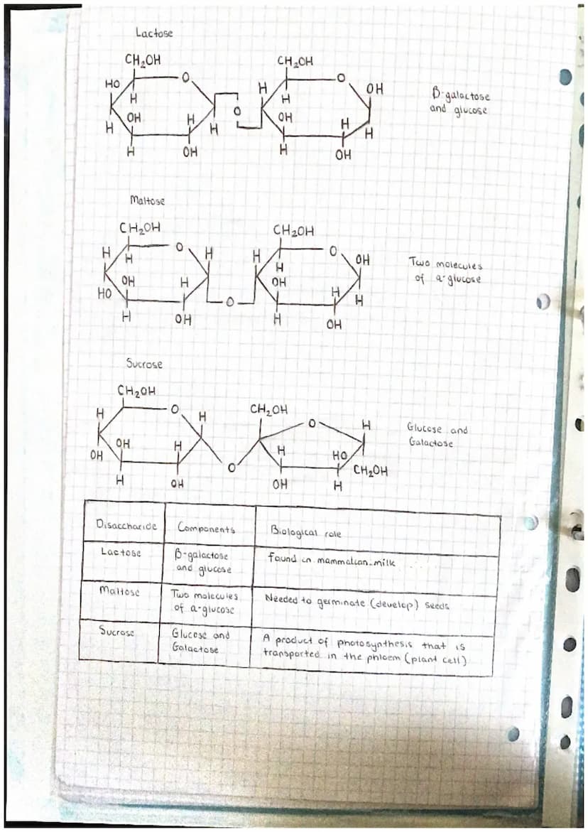 J
9
Abr
Unit 11 Chemical elements are joined together to form biological
compounds
(a) the key elements present as inorganic ions in living
