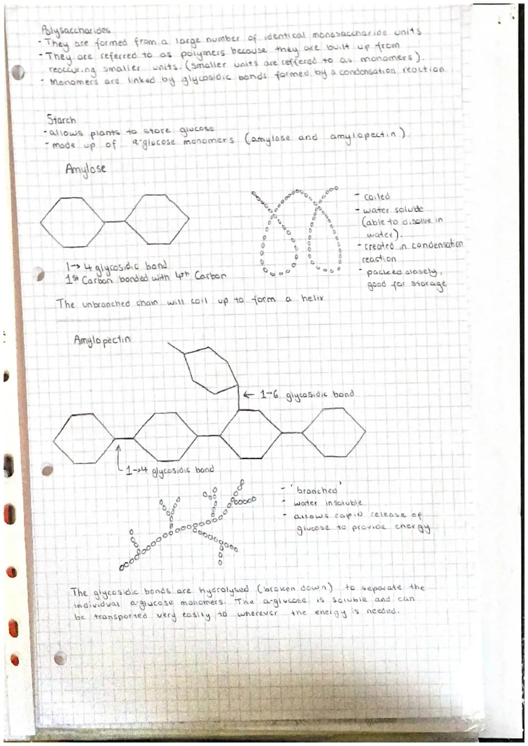 J
9
Abr
Unit 11 Chemical elements are joined together to form biological
compounds
(a) the key elements present as inorganic ions in living
