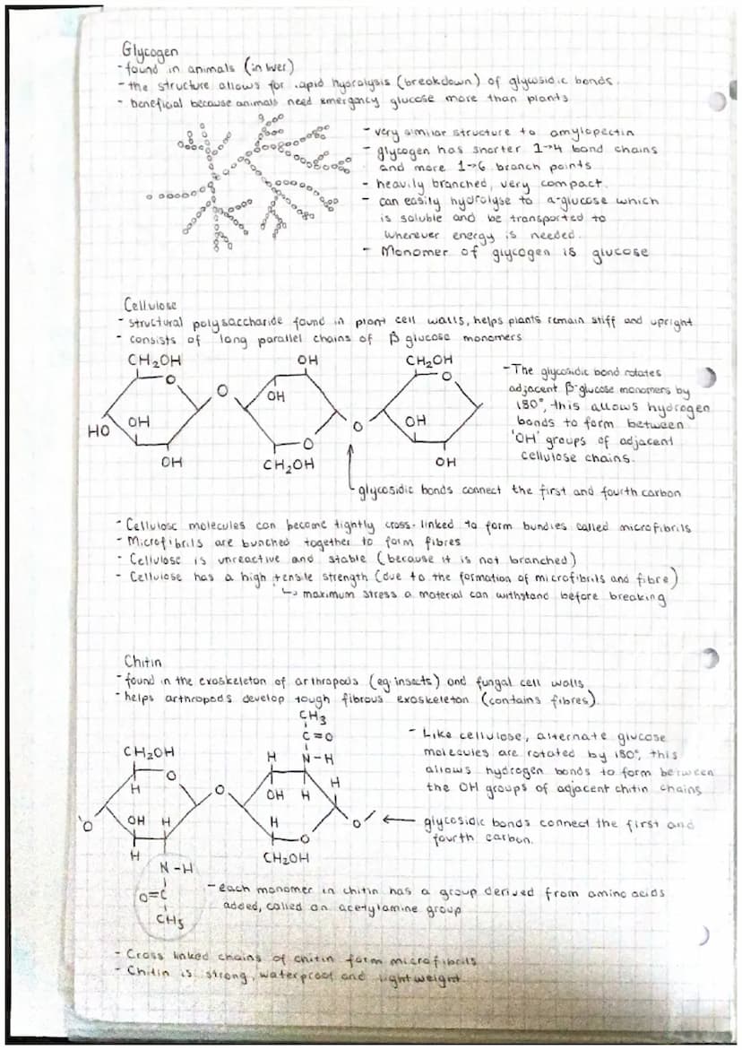 J
9
Abr
Unit 11 Chemical elements are joined together to form biological
compounds
(a) the key elements present as inorganic ions in living
