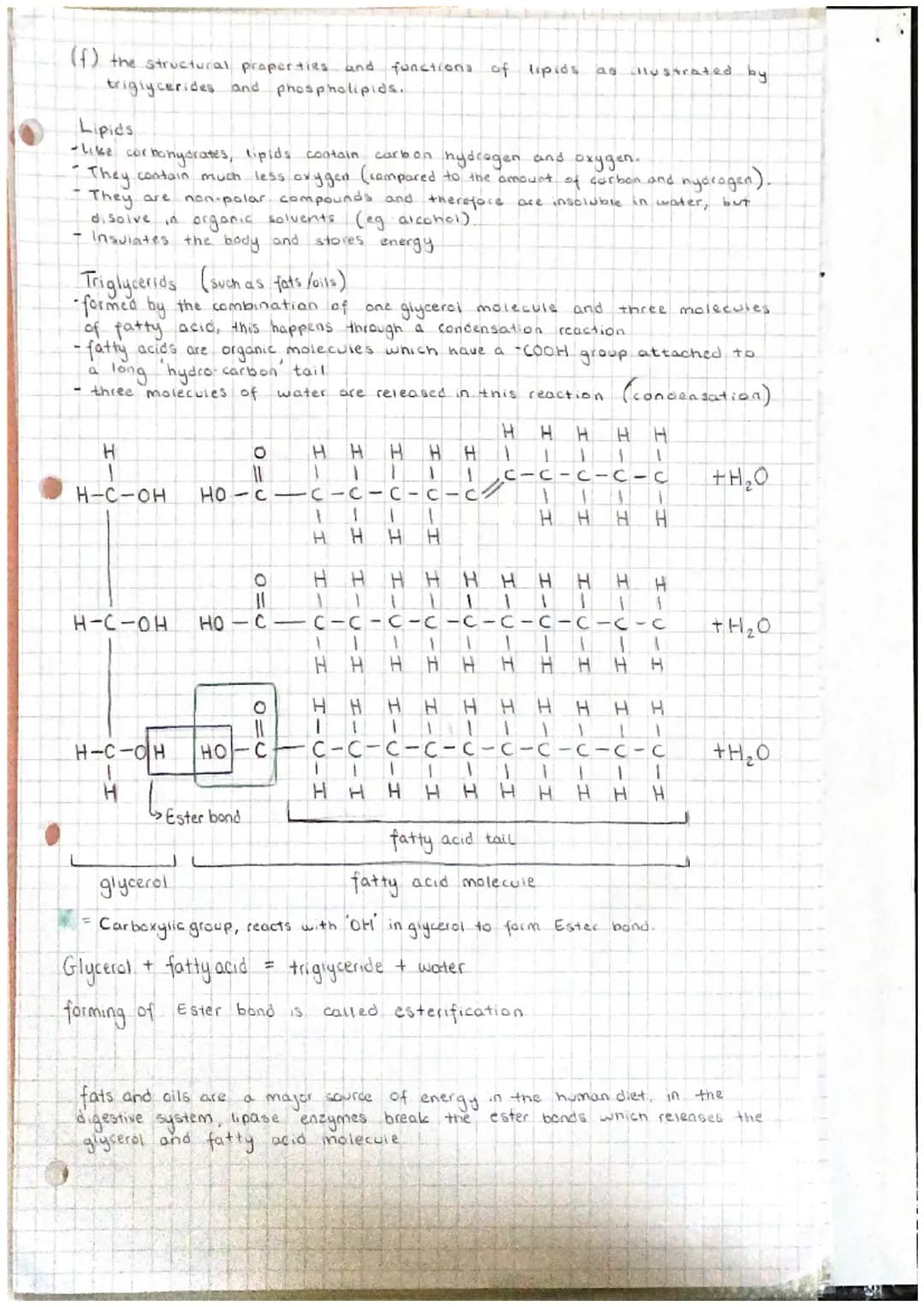 J
9
Abr
Unit 11 Chemical elements are joined together to form biological
compounds
(a) the key elements present as inorganic ions in living
