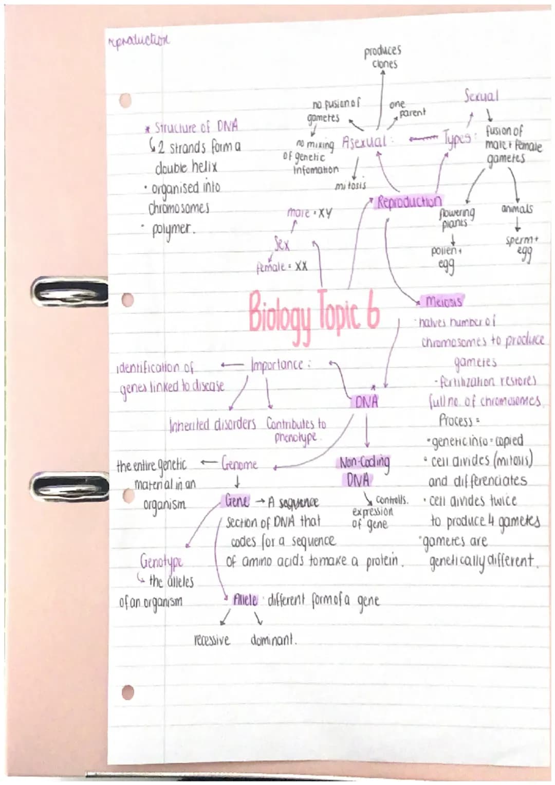 Fun Facts: Asexual Reproduction, DNA, and Waves for GCSE!