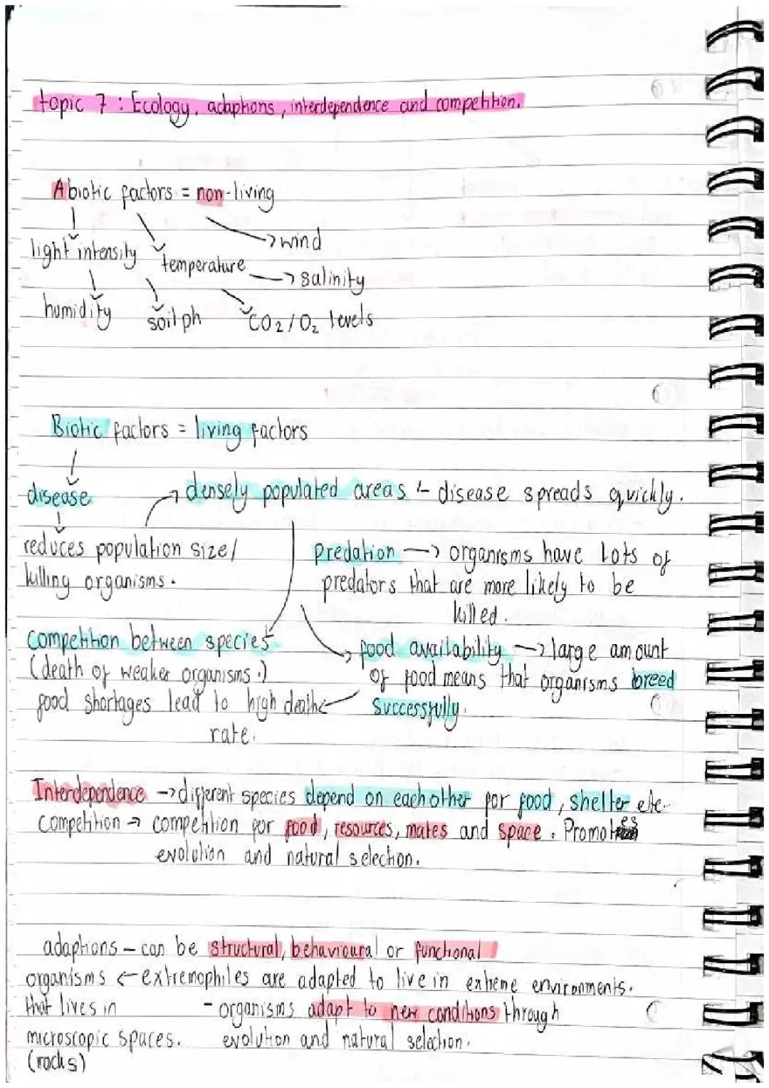 Ecology Adaptations and Interdependence: Easy Notes for Kids