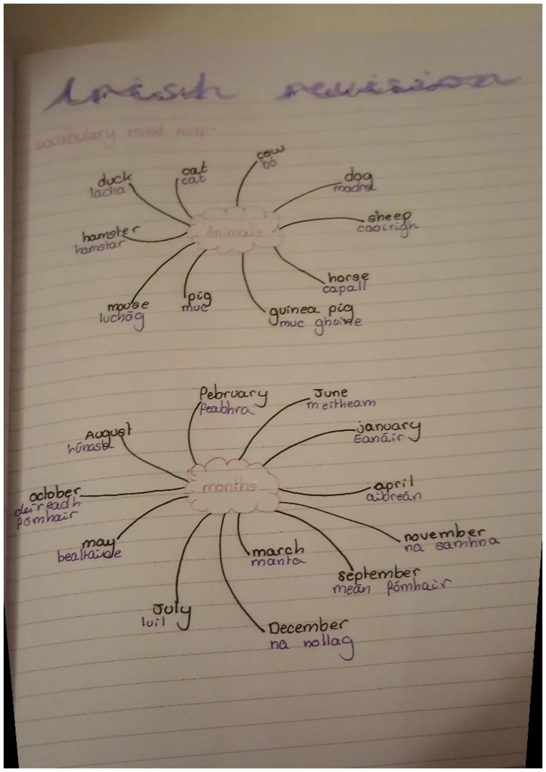Irish
duck
lacha
hamster
hamstar
october
deireadh
Pomhair
mou's e
luchōg
August
Lunast
may
bealtainle
cat
cat
luil
pig
Toky
Animals
muc
cow
