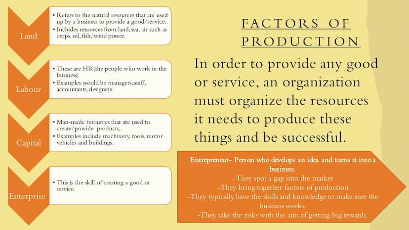 Business
UNDERSTANDING BUSINESS
\/ THE ROLE OF BUSINESS IN
SOCIETY
Understanding Business. WHAT IS A BUSINESS ?
• Business > An organisation