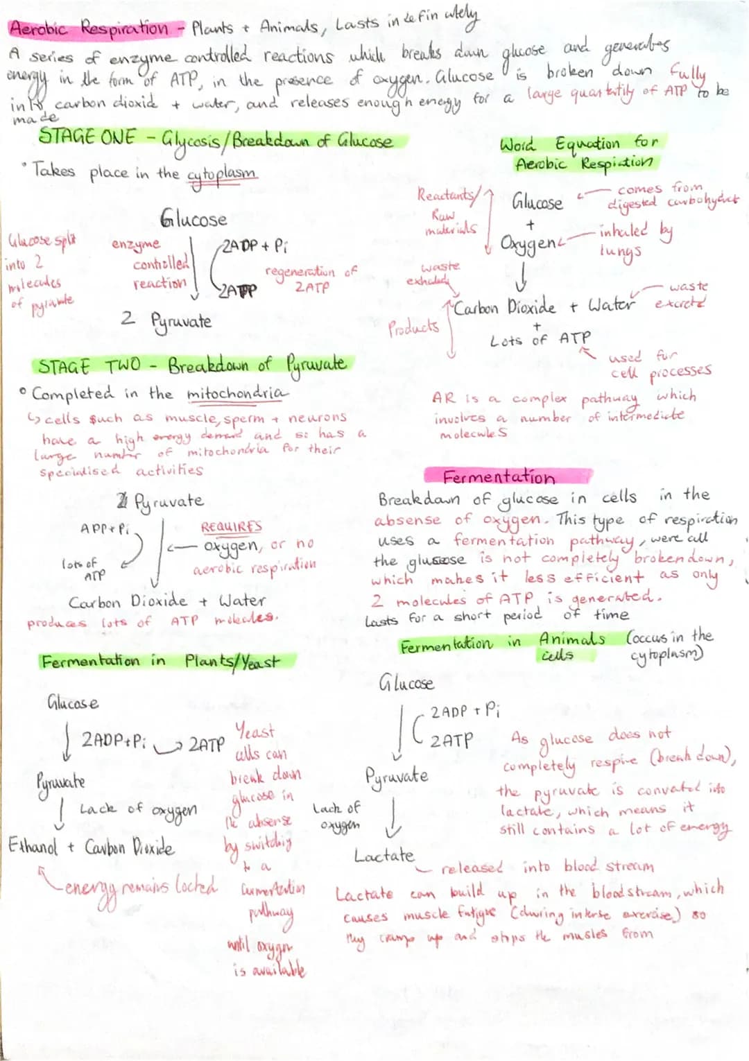 The every
within Food is
chemical
ежду
stored
4
All cells need a supply of
Chemical
ATP
RESPIRATION
out activities to keep them
Some
energy 