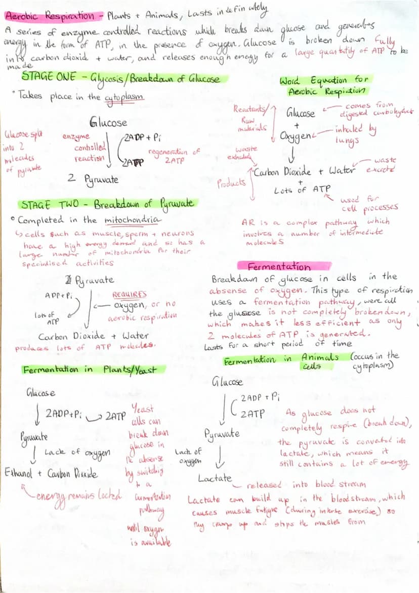 The every
within Food is
chemical
ежду
stored
4
All cells need a supply of
Chemical
ATP
RESPIRATION
out activities to keep them
Some
energy 