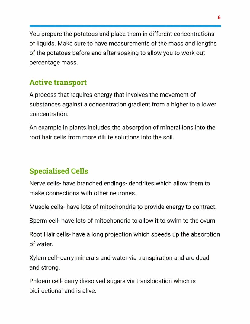 Cell biology
Combined Science Trilogy-Biology Topic 1
Animal cell
mitochondria
cytoplasm
nucleus
ribesome
Cell membrane Animal Cell
nucleus
