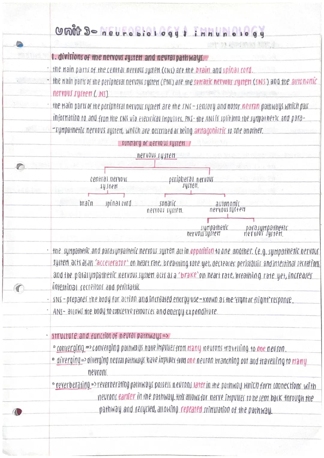 Comprehensive Notes for Higher Human Biology Unit 3