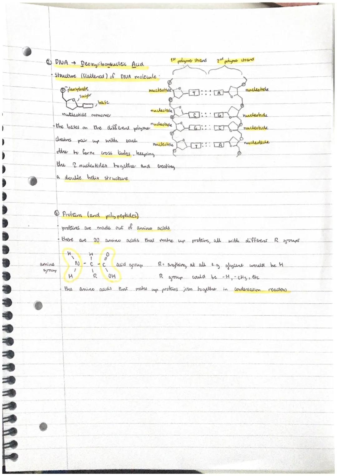 (11- Polymers
ADDITION POLYMERISATION
addition polymers are made from lots of small molecules (monomers) that juin together
Monomers
alkenes