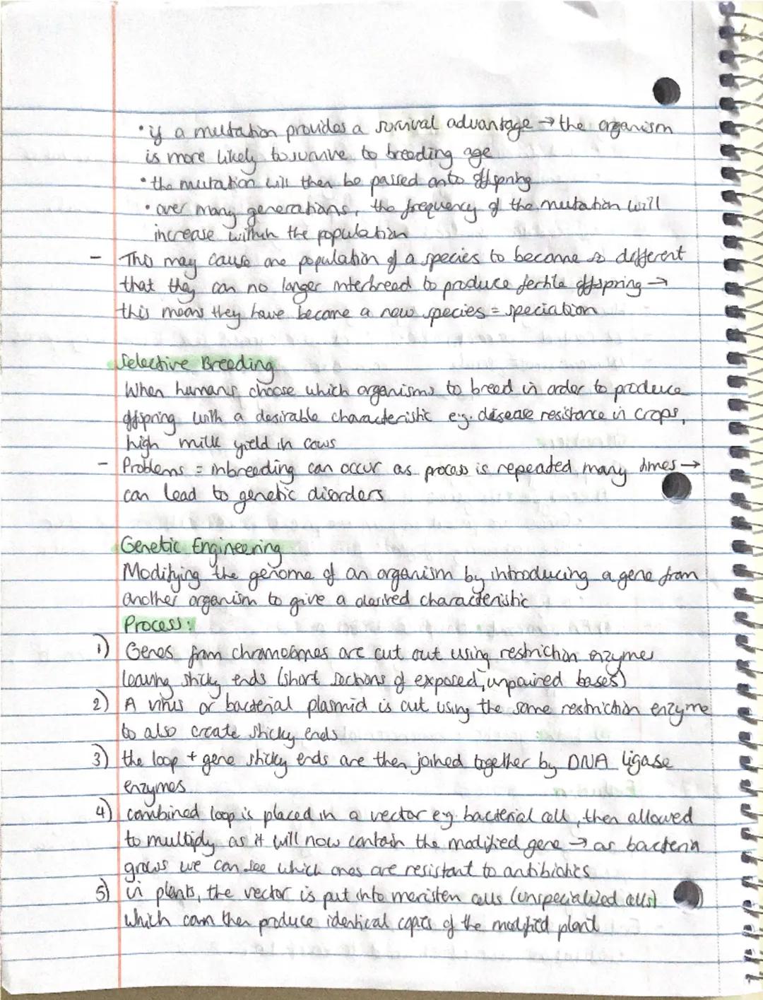 Biology-Inheritance, Variation + Evolution
Sexual + Asexual Reproduction:
involves the fusion of male and female gametes
- sperm + egg cells