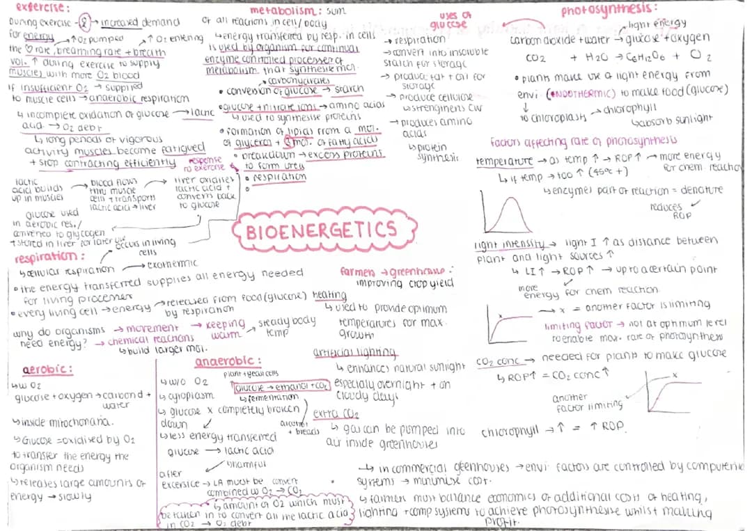 Bioenergetics - BIOLOGY (combined/ higher)