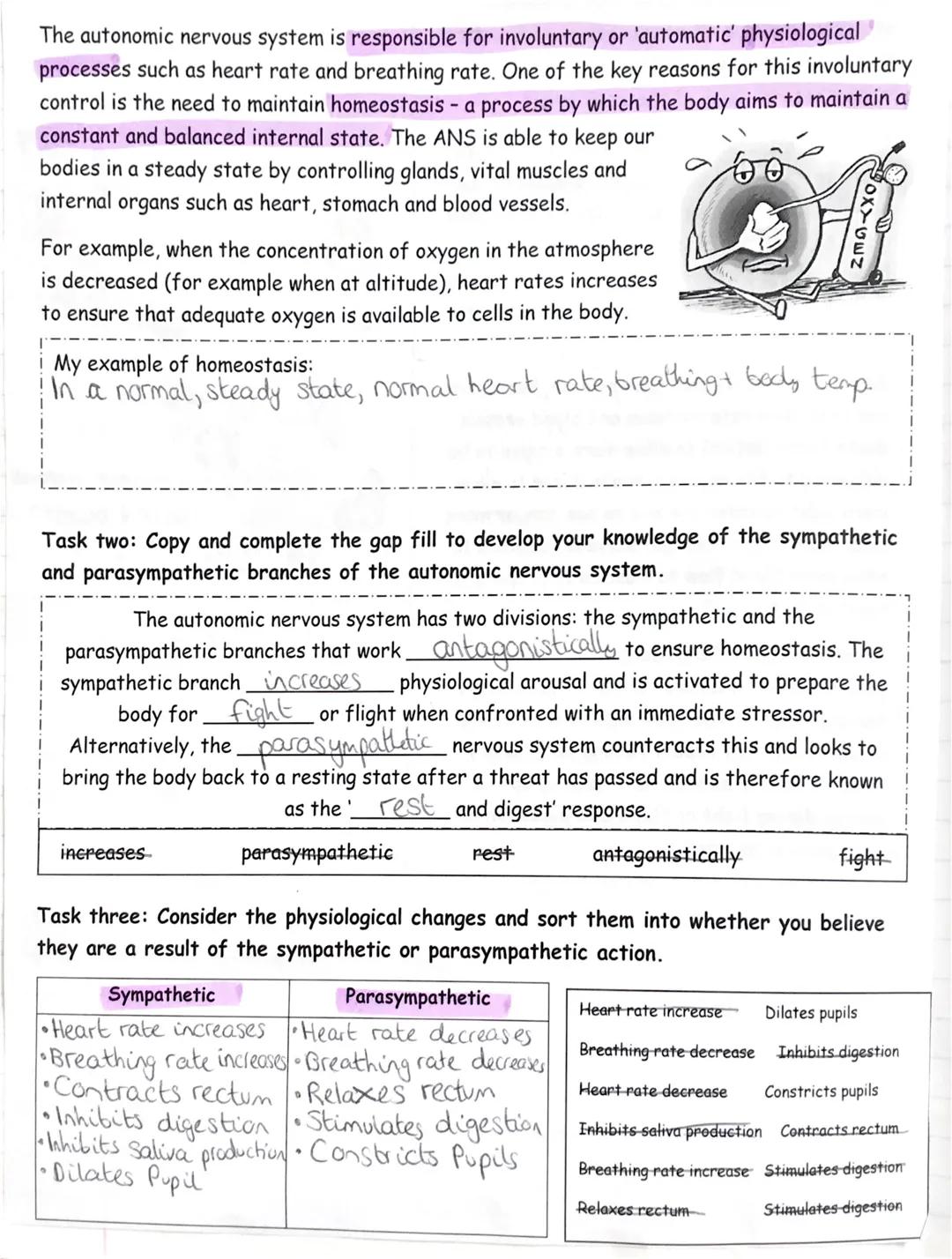 The autonomic nervous system is responsible for involuntary or 'automatic' physiological
processes such as heart rate and breathing rate. On