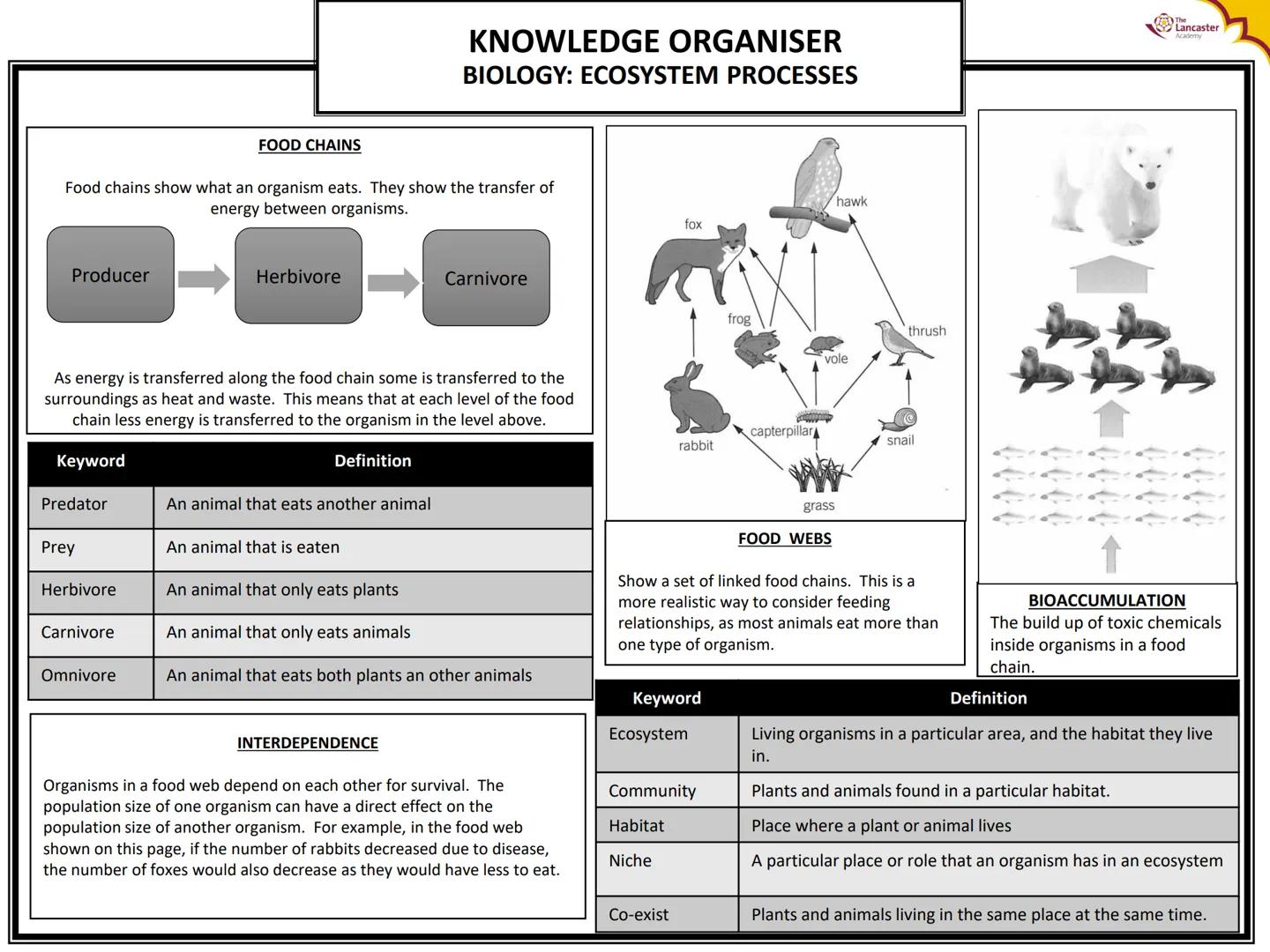 carbon
dioxide
Keyword
Producer
Consumer
Photosynthesis
Chlorophyll
waxy layer
000
stoma
PHOTOSYNTHESIS EQUATION
light energy
+ water
chloro