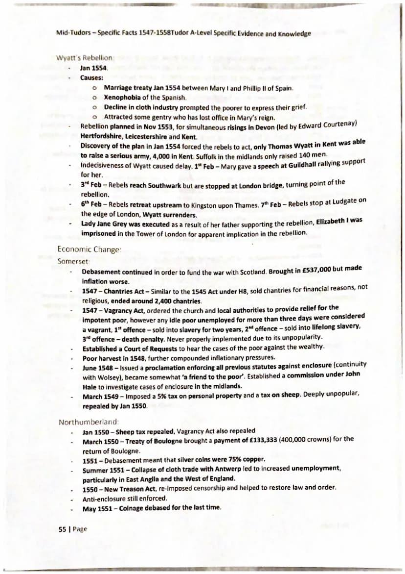 Mid-Tudors-Specific Facts 1547-1558Tudor A-Level Specific Evidence and Knowledge
47 Page
Mid Tudors:
1547-1558 Mid-Tudors-Specific Facts 154