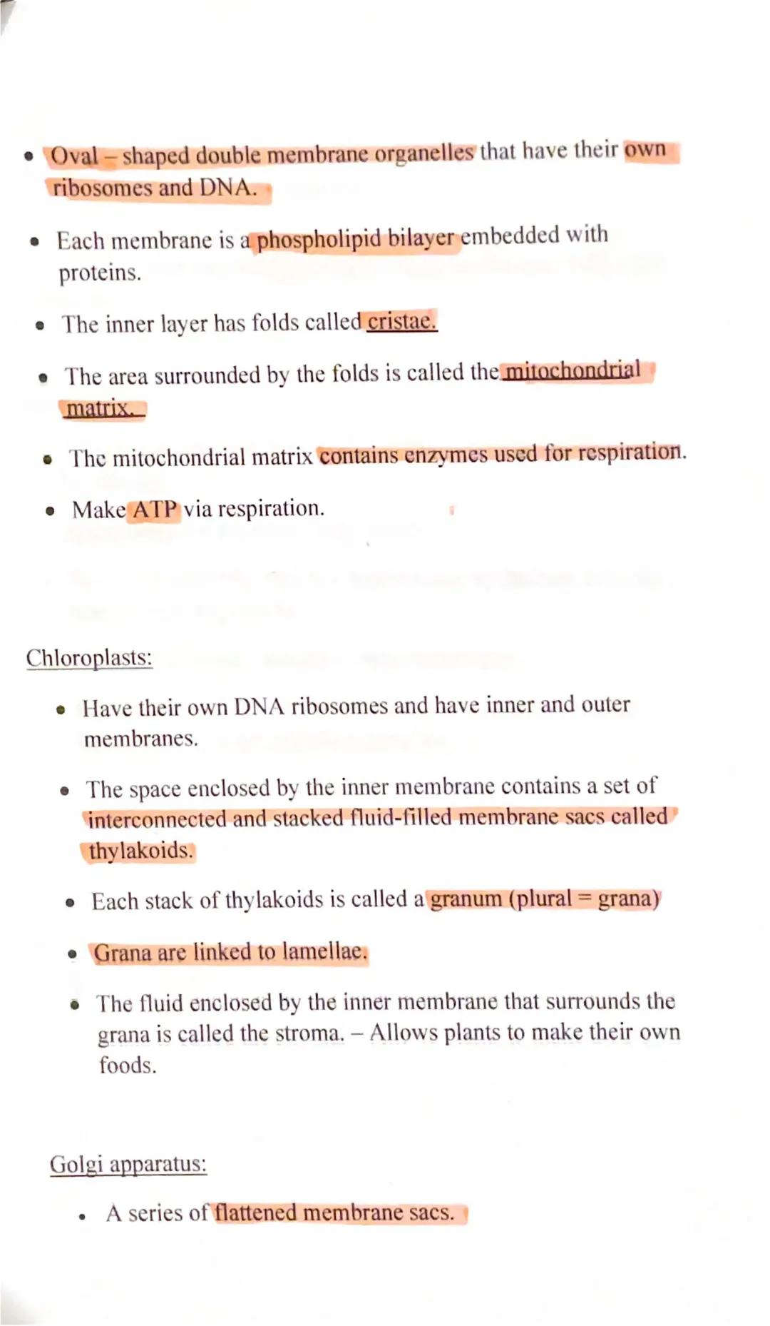 Eukaryotic Cell structure P2