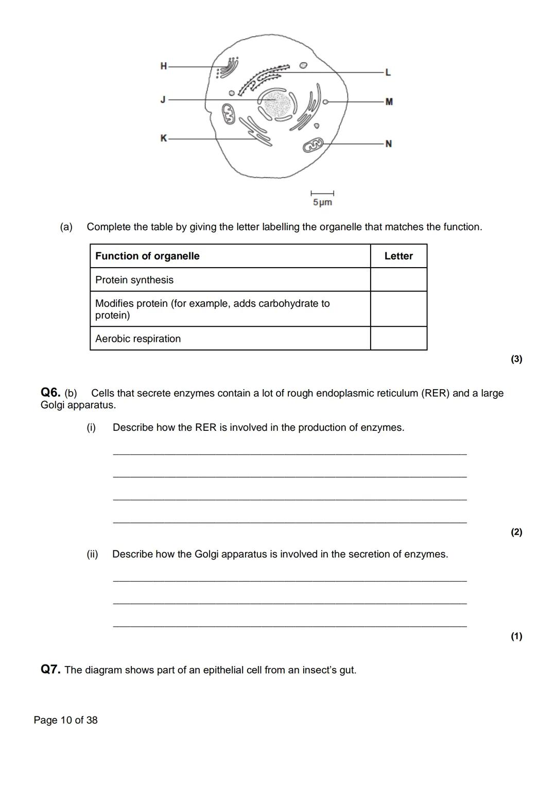 Name:
AQA Biology
3.2.1 Cell Structure
Q. H
Lesson
Lesson 1 - Eukaryotic Cells
Lesson 2 - Prokaryotic Cells + Viruses
Exam Question
Homework