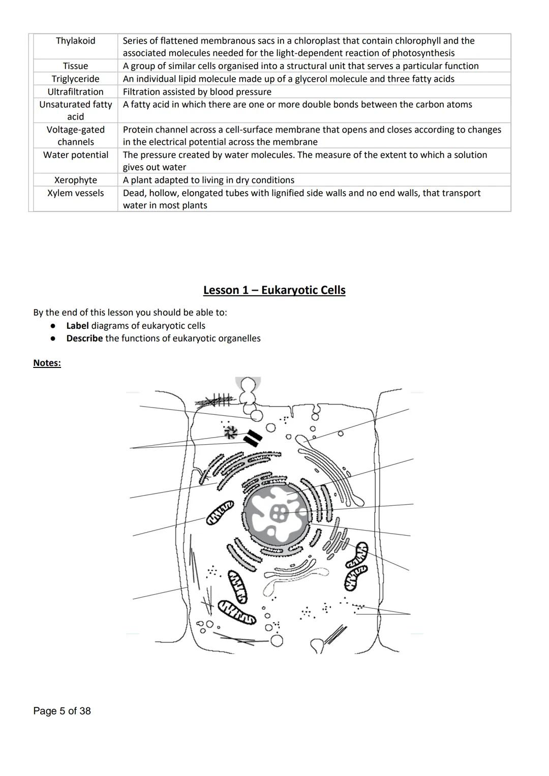 Name:
AQA Biology
3.2.1 Cell Structure
Q. H
Lesson
Lesson 1 - Eukaryotic Cells
Lesson 2 - Prokaryotic Cells + Viruses
Exam Question
Homework
