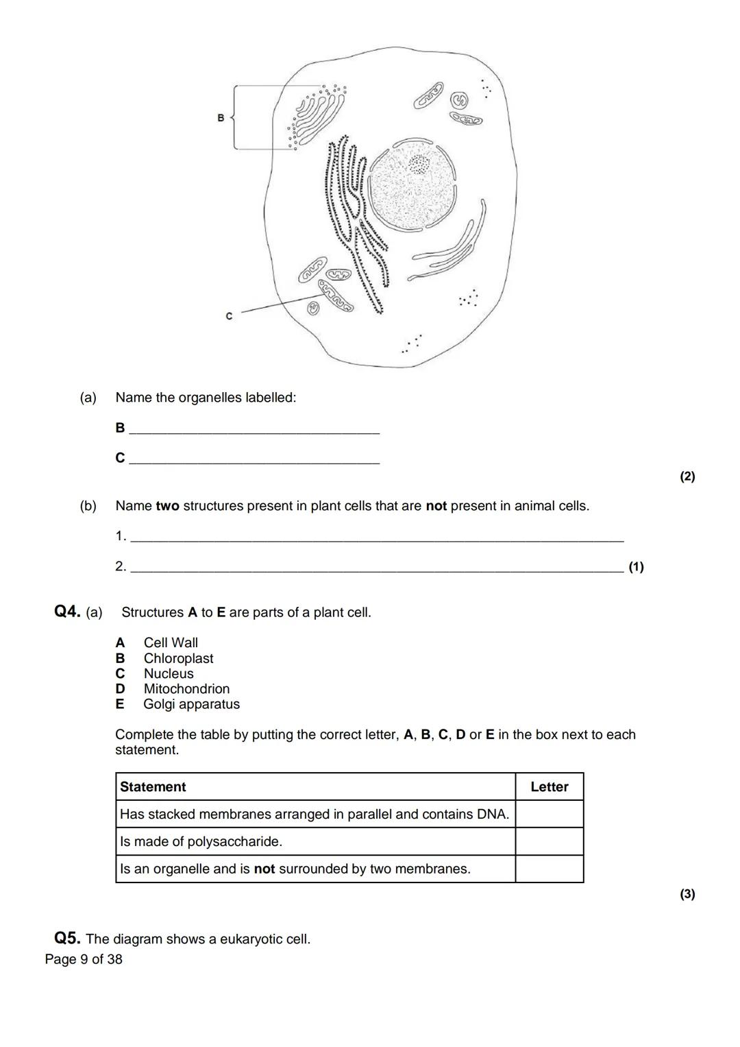 Name:
AQA Biology
3.2.1 Cell Structure
Q. H
Lesson
Lesson 1 - Eukaryotic Cells
Lesson 2 - Prokaryotic Cells + Viruses
Exam Question
Homework