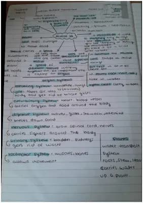 Know plant + animal cells / organ systems thumbnail