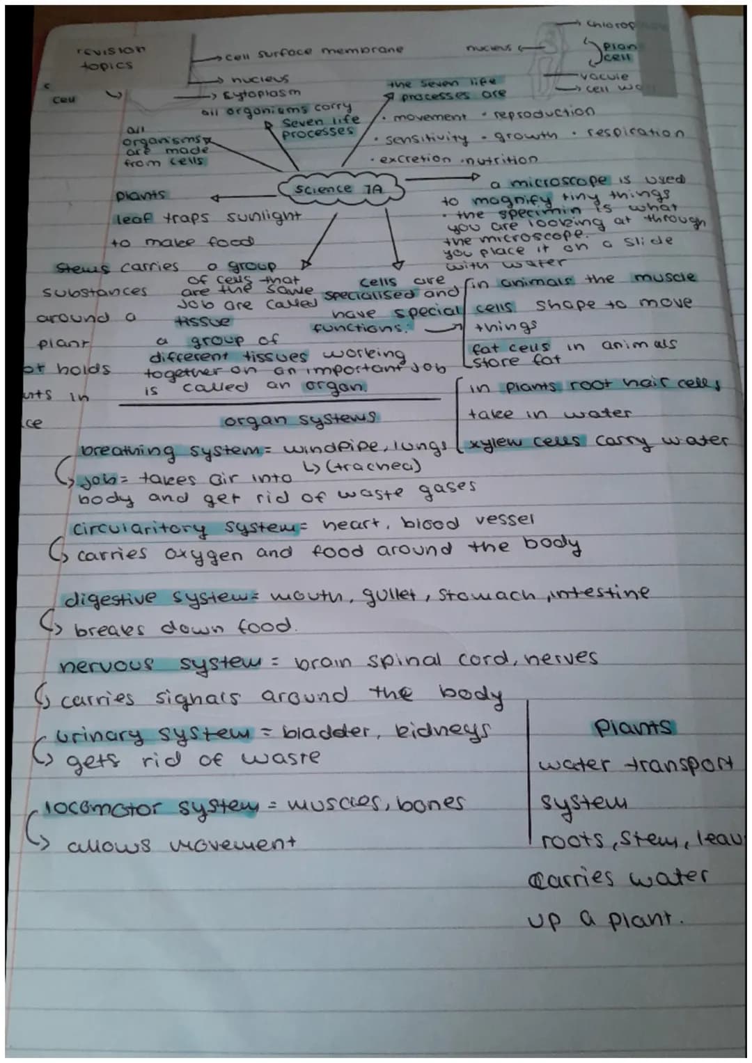 Ceu
REVISION
topics
се
afl
of holds
rts
In
around C
plant
G
organisms
are made
from cells
cell surface membrane
nucieus
-> Eytoplasm
Stems c