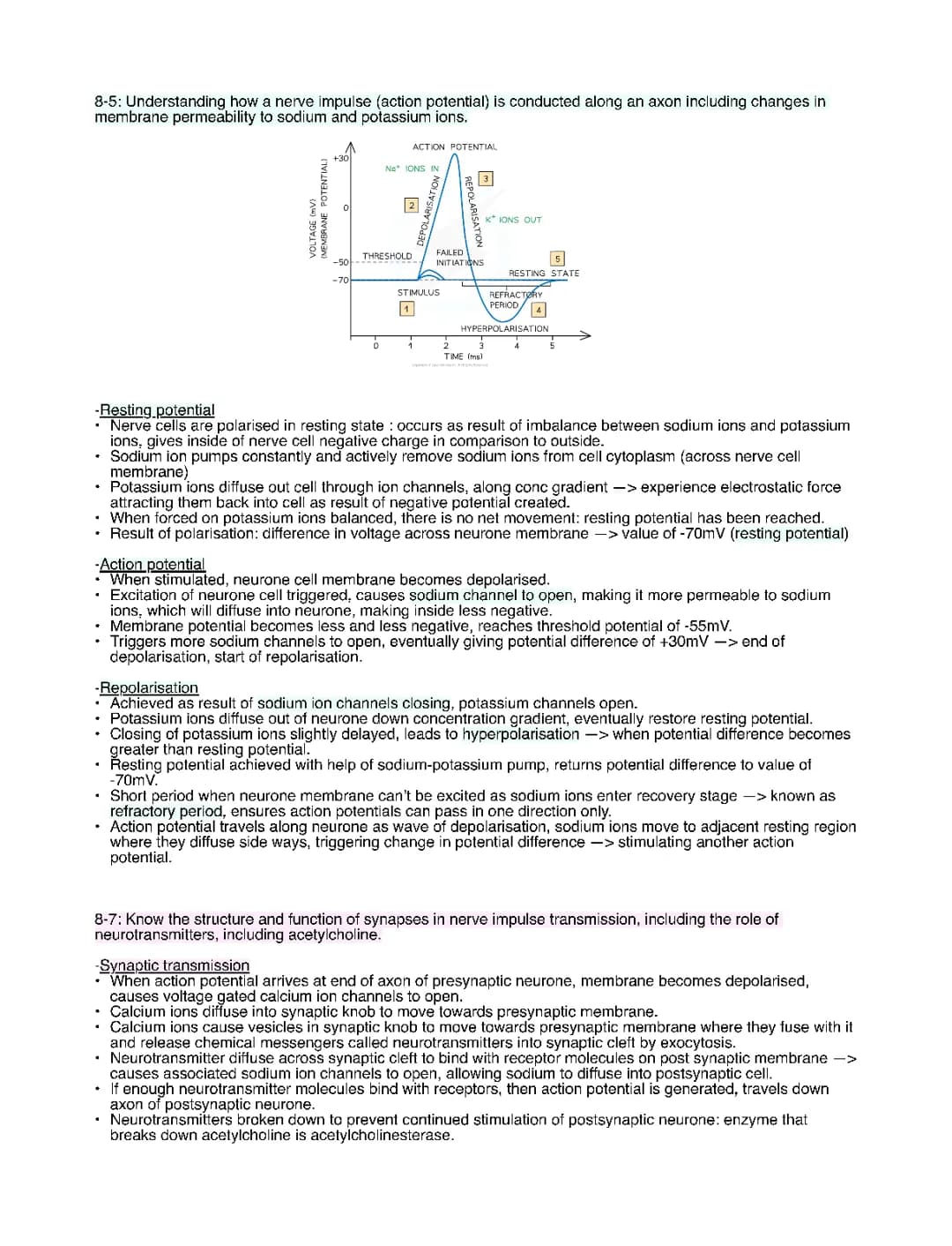Understanding Nerve Impulse Conduction and Action Potential for Edexcel Biology A Level