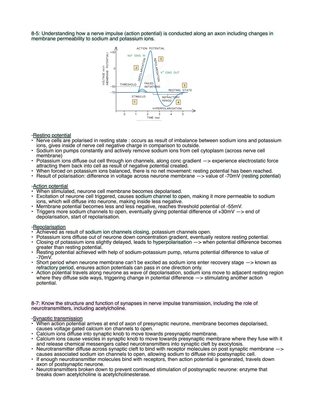 8-5: Understanding how a nerve impulse (action potential) is conducted along an axon including changes in
membrane permeability to sodium an