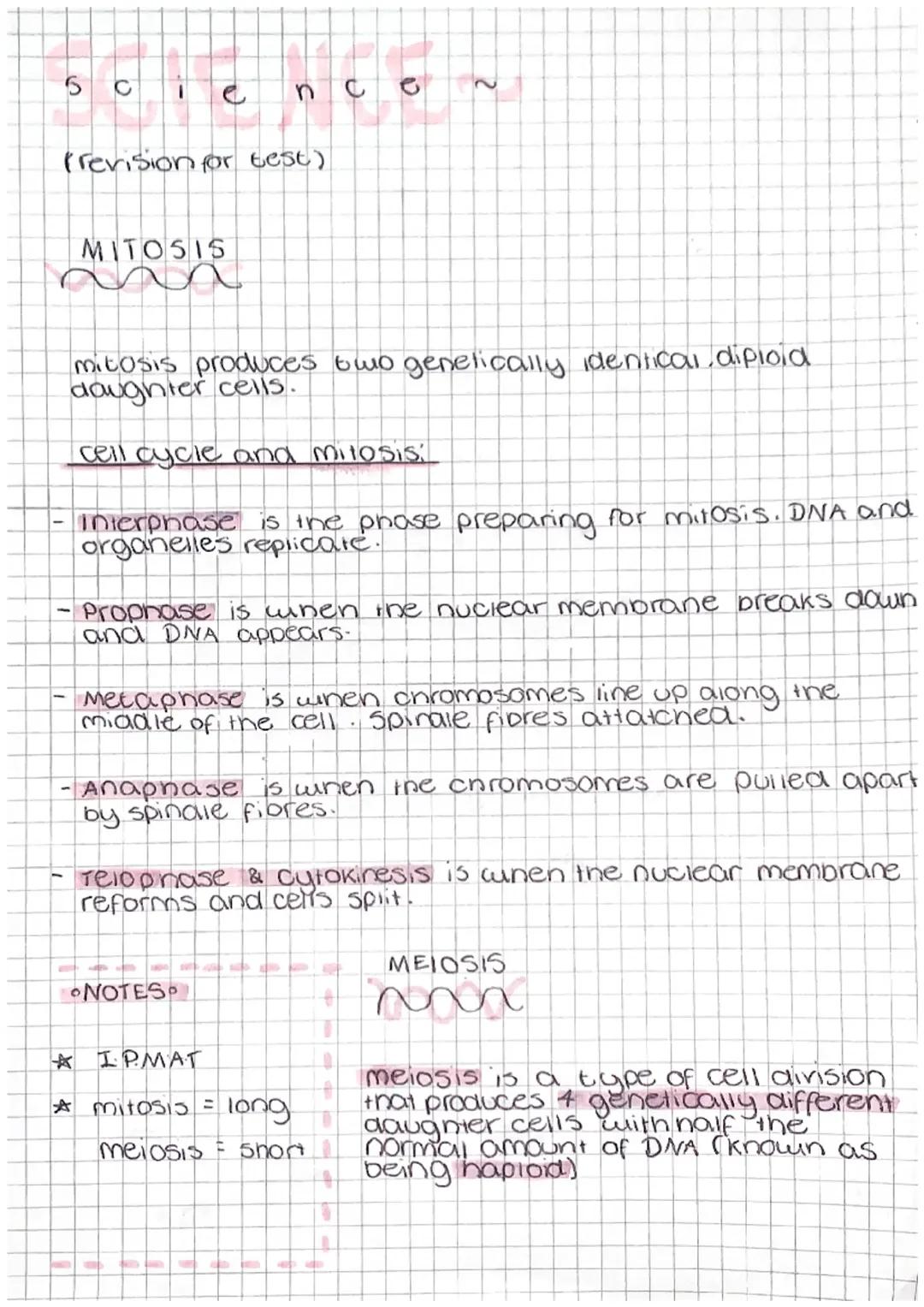 Cell Division: Mitosis & Meiosis
