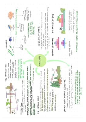 Know Ecosystems Mindmap thumbnail